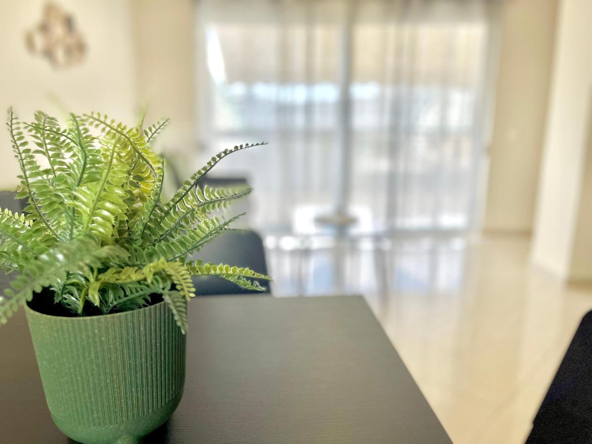 Elvita Apartments 2 Αθήνα Εξωτερικό φωτογραφία